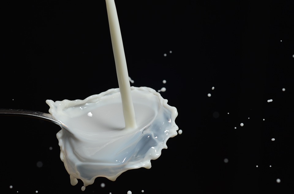 Is Dairy Allowed on the Paleo Diet?