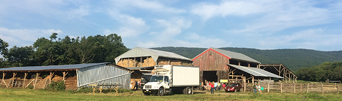 Reflection: Food Freedom Festival