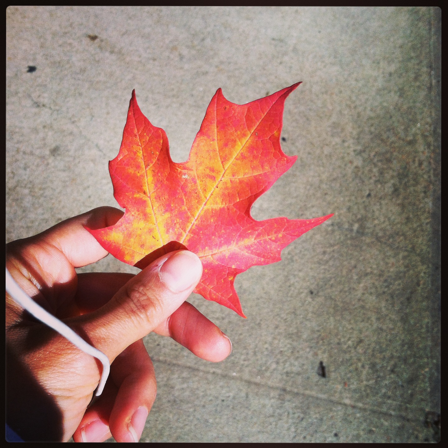 Do You Gain Weight In The Fall? Blame Your Genes