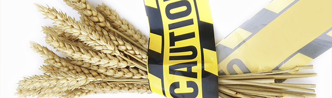 Paleo is Gluten Free, but Gluten Free is NOT Paleo!