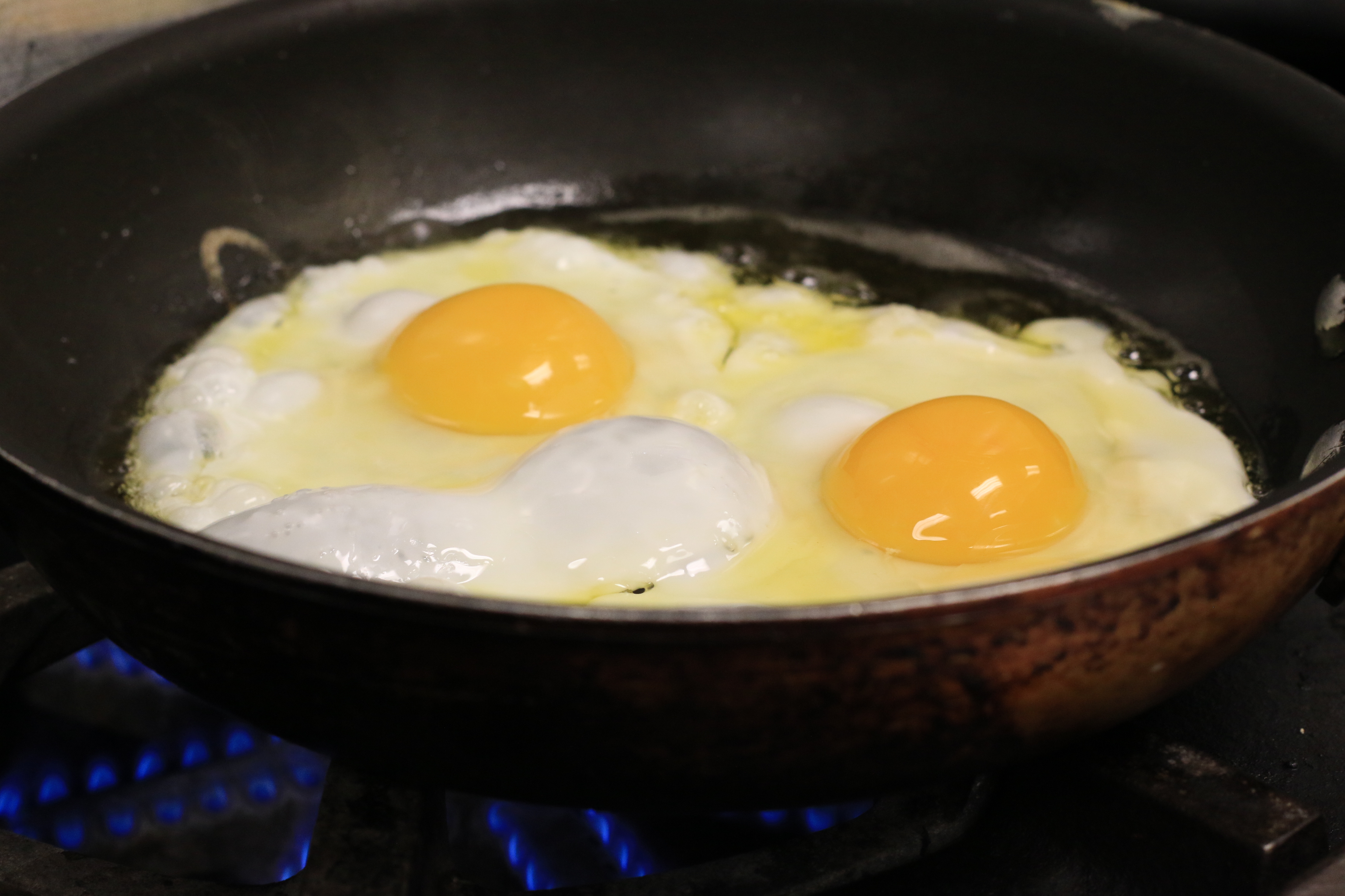 How Much Protein Do You Really Need?