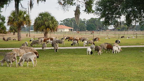 Paleo on the Go Puts YOU First!