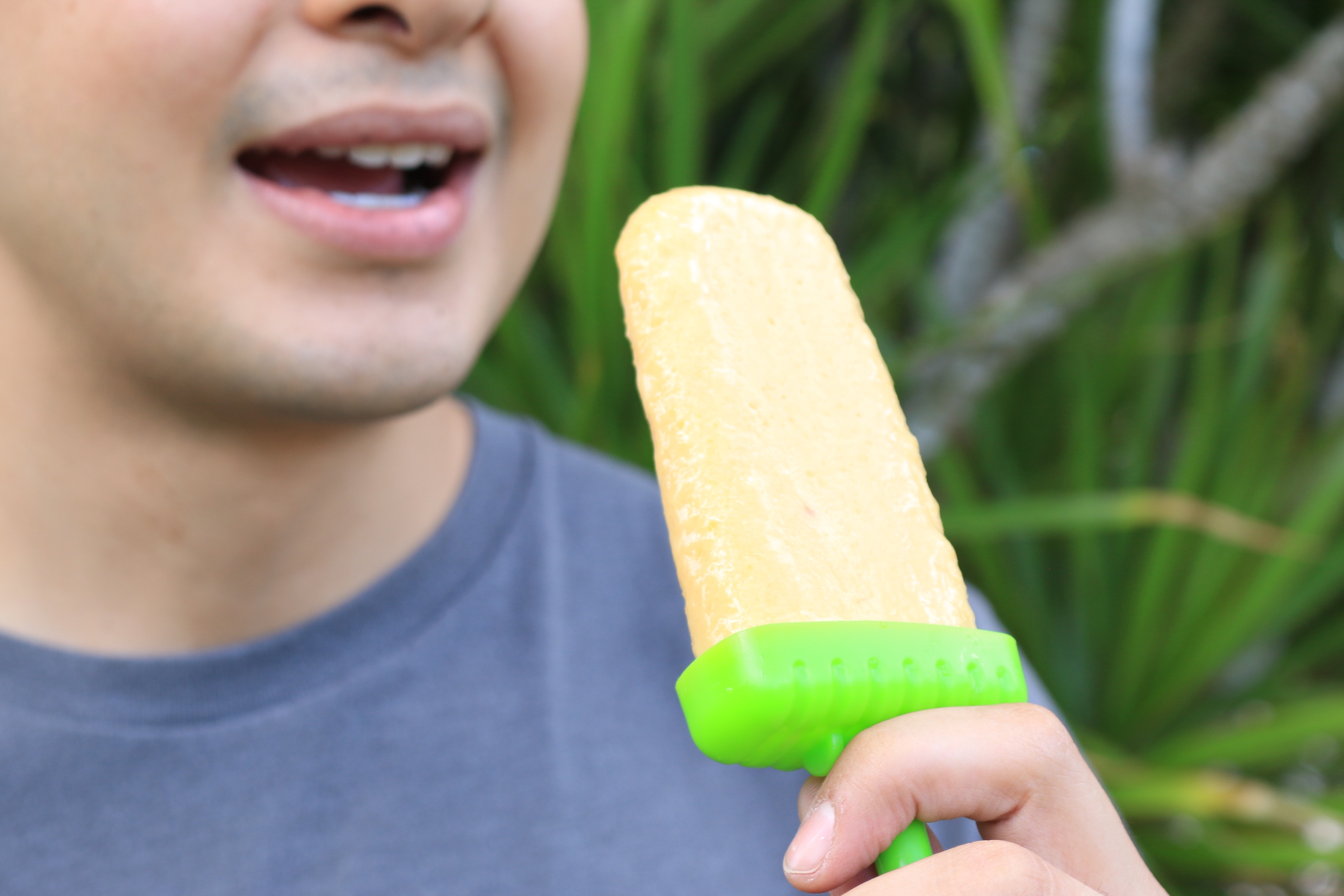 Bone Broth Pops Are Back – POTG Test Kitchen