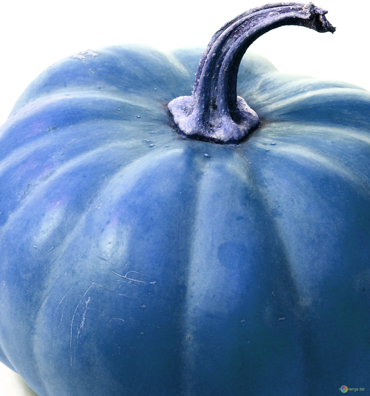 The Easiest Way Teal a Pumpkin