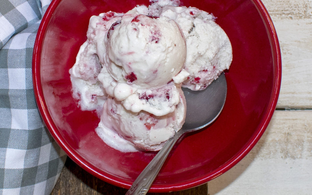 Delicious Strawberry Ice Cream (AIP) – POTG Test Kitchen